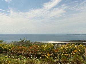 広島県広島市のソープランド Oceanの写メ日記　夏のはじまり???画像